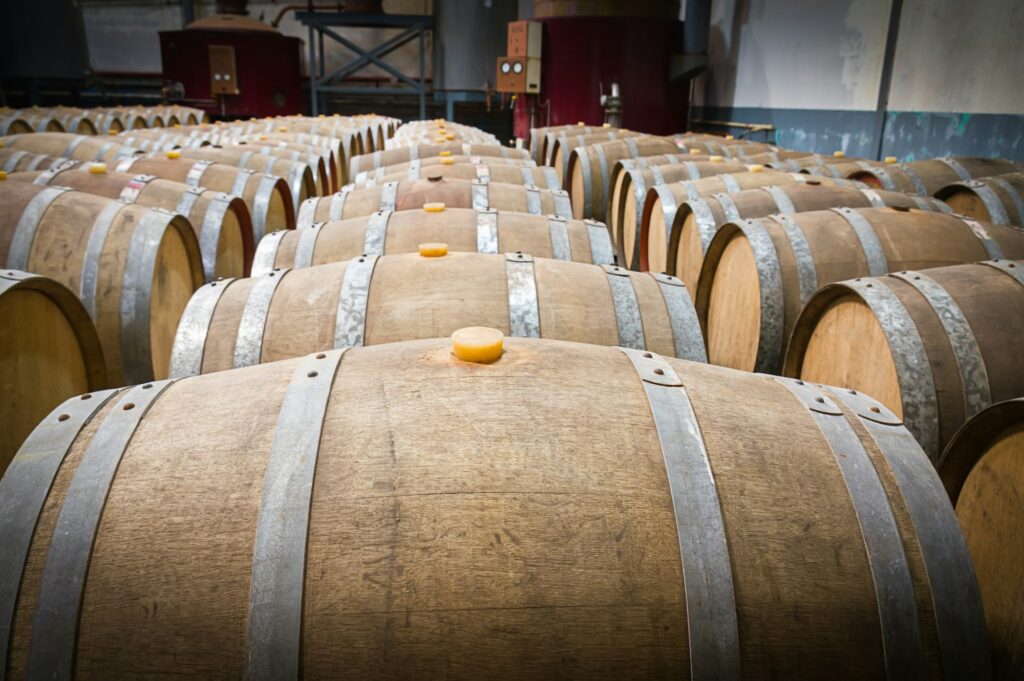 Wine barrels in the cellar of the winery-7